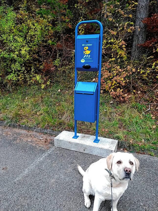 So sieht eine Hundetoilette aus. Oben gibt es Tüten zum Mitnehmen, unten kann der verpackte Hundekot eingeworfen werden. Mit der ...