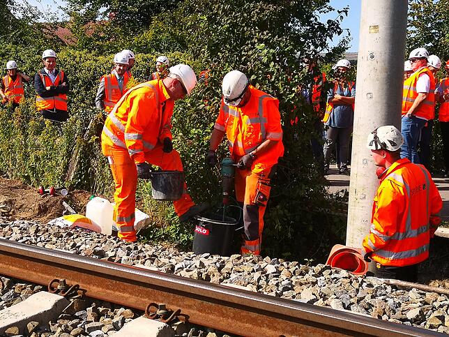Arbeiten am Streckenabschnitt zwischen Friedrichshafen und Lindau-Aeschach. Im September 2019 wurden hier die ersten Oberleitungsmasten ...