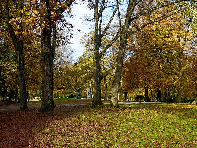 Die Zahl der Sterbefälle überstieg zuletzt die Zahl der Geburten in Bad Säckingen – das Bild zeigt den Friedhof der Stadt mit dem ...