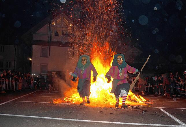 Bild 3: Die schönsten Bilder des großen Hochrhein-Narrentreffens in Tiengen (Teil 2)