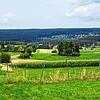 Wo sich Baar und Schwarzwald treffen: Die Straße von Dittishausen nach Unterbränd bietet einen weiten Ausblick und ist auch für ...