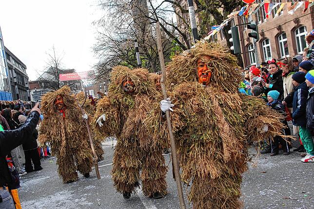 Bild 49: Sonne für die Narren: Großer Fasnet-Umzug begeistert in Singen!