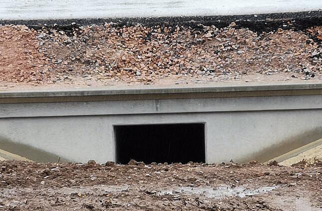 Je länger ein Tunnel ist, desto größer muss der Durchmesser sein, damit ihn Tiere annehmen. Deshalb sprechen Fachleute auch nicht von ...