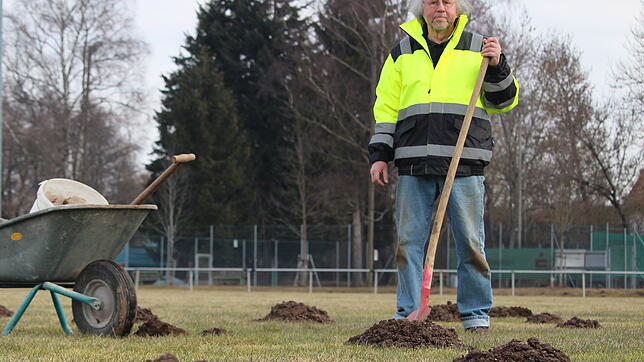 Es ist ein stetig wiederkehrendes Problem auf den Plätzen des FC Hüfingen: Maulwürfe, die dafür sorgen, dass zahlreiche Hügel überall ...