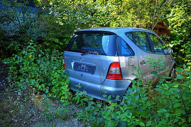 Auch andere Fahrzeuge verschwinden langsam im Grün.
