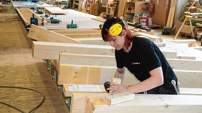 Alles muss nach Plan genau passen: Johanna Schmieder, im dritten Lehrjahr zur Zimmerin bei der Firma Brüninghoff in VS-Tannheim, ...