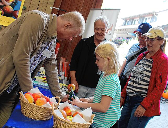 Schöne Früchte, aber Preisprobleme gibt es auch bei den aktuell zur Ernte anstehenden Äpfeln, sagt Kreisobstbauberater Klaus Nasilowski ...