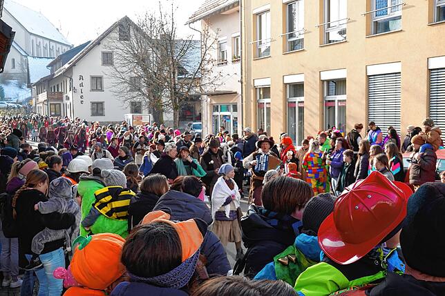 Bild 1: Bilderstory: Umzug und Narrenbaumstellen in Rickenbach begeistern die Zuschauer