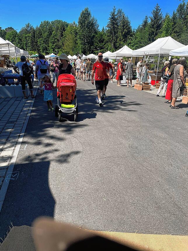 Bild 1: Mehr als 70 Aussteller bereichern am Iznanger Töpfermarkt die Kulturlandschaft Untersee