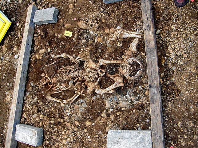 Das Skelett eines Mannes, der gerädert wurde, haben die Archäologen bei Allensbach in den vergangenen Tagen frei gelegt. Kreisarchäologe ...