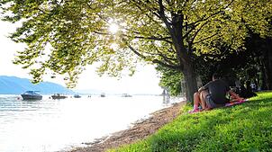 Sommerliche Abendstunden am Sipplinger Seeufer: Spätestens jetzt sind die Blutsauger unterwegs, in diesem Jahr nicht zu wenige von ihnen.
