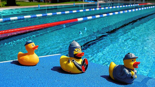 Hintereinander her schwimmen wie diese Quietsche-Enten müssen Besucher der Freibäder in Waldshut und Tiengen in dieser Badesaison.