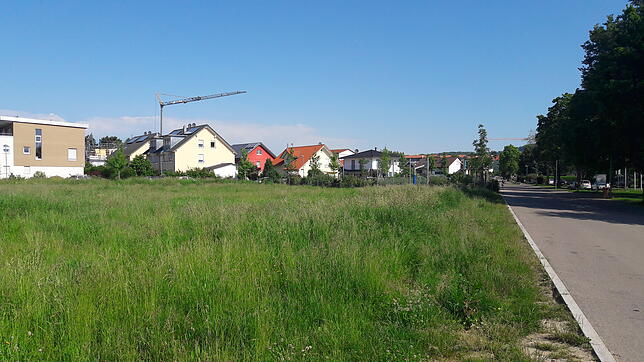 Auf dieser Grünfläche wird der neue Kindergarten in Markdorf-Süd gebaut, im Hintergrund der Spielplatz, links befindet sich das ...