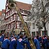 In 40 Minuten wuchteten die Mitglieder der Hexengruppe den Narrenbaum auf dem Marktplatz in die Höhe. Bild: Jürgen Witt