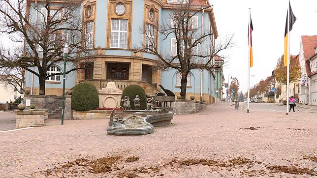 Aufpassen am Sonntag auf dem Rathausplatz: Pferdeäpfel trüben den Fotoblick aufs blaue Rathaus.