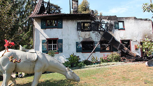 Ein Brand zerstörte in der Nacht vom Dienstag, 31. Juli, auf Mittwoch, 1. August, das historische Hofgut Balisheim in Gaienhofen. Die ...