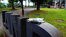 Der Landkreis Waldshut wirtschaftet im Jahr 2024 nach Plan – als einer von elf von 35¦Landkreisen in Baden-Württemberg. Symbolbild: ...