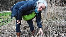 Petra Hans, Helferin des Umweltzentrums, setzt die Erdkröte in der Nähe eines kleinen Weihers auf den Boden.