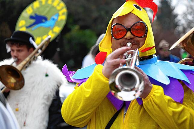 Bild 44: Fastnacht auf dem Schienerberg: Tausende feiern den Höriumzug mit kreativen Mottos