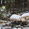 Bei dem Flugzeugabsturz bei Siebratsreute nahe Waldburg am 15. Dezember 2017 sind drei Menschen getötet worden, darunter der Häfler ...