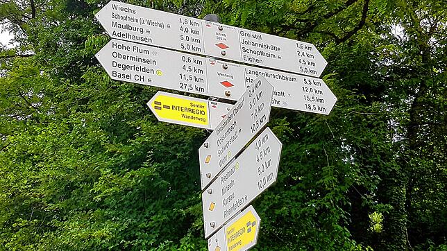 Im Wald kann man schnell die Orientierung verlieren. Apps können helfen, sich im Gelände zurechtzufinden. Foto: Gerald Nill