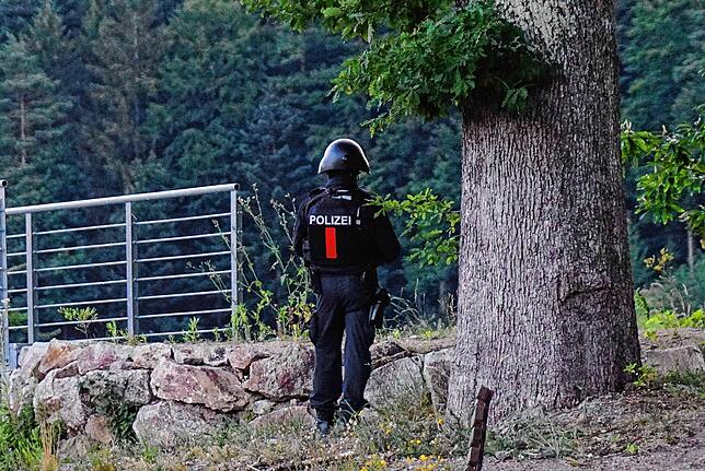 Ein Polizist in Oppenau beobachtet von einer Straße aus den Waldrand.