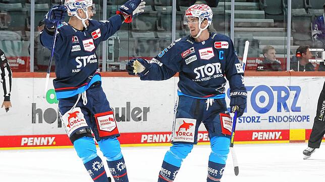 Bild : Den Schwenniger Wild Wings gelingt gegen die Nürnberg Ice Tigers endlich wieder ein Heimsieg