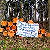 Für Spaziergänger gut sichtbar: Dieses Tuch hängt an einem Nadelholzpolter bei Zoznegg.