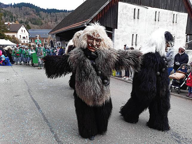 Bild 5: Die schönsten Bilder vom großen Habufa-Umzug in Hasel (1)