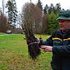 Thomas Emmerich, Forstbezirksleiter im Südschwarzwald, ist zufrieden mit der Lieferung der Stiel- und Traubeneichen für den ...