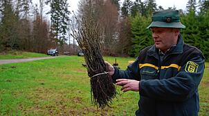 Thomas Emmerich, Forstbezirksleiter im Südschwarzwald, ist zufrieden mit der Lieferung der Stiel- und Traubeneichen für den ...