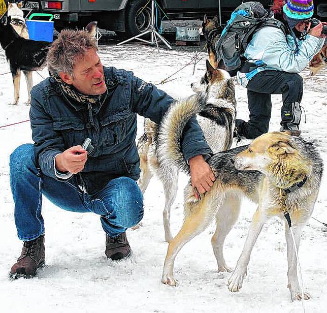 Hautnah: Für die Schlittenhunde gibt es jede Menge Streicheleinheiten.
