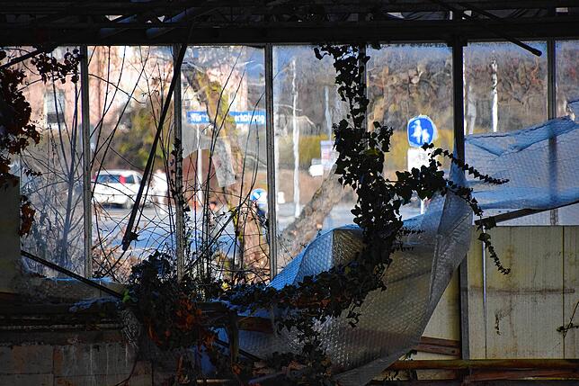 Bild 28: Wie im Dornröschenschlaf: So sieht das Gelände der ehemaligen Gärtnerei Lutz aus, das bald abgerissen wird