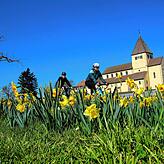 Die Kirche St. Joseph an Ostern, im Vordergrund Gelbe Narzissen oder Osterglocken.