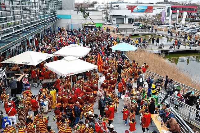Bild 1: Bilder vom Kindernarrenbaumstellen
