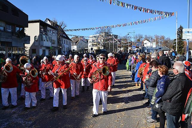 Bild 38: Bilder vom Narrentreffen der Urviecher-Zunft Bad Dürrheim: Großer Festumzug (3)