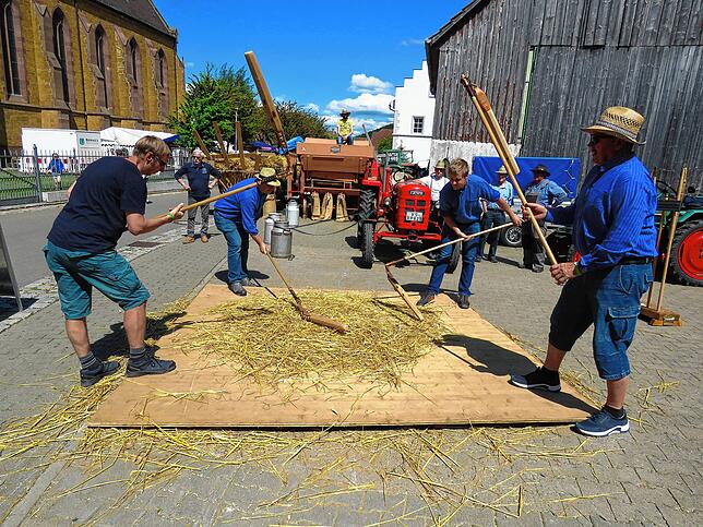 Hinten die Dreschmaschine, die von den Sunthauser Dreschgruppe betrieben wird, davor eine noch ältere Tradition, das Dreschflegeln. Zu ...