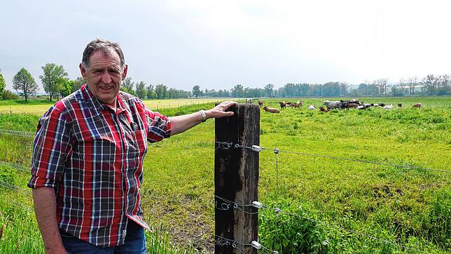 Der Landwirt Stefan Bolkart sieht die Präsenz von Wölfen im Schwarzwald und auf der Baar als große Bedrohung. Er versucht bereits, seine ...