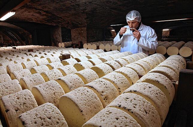 Auf unserem Archivbild von 2009 veredelt ein Käsefachmann einen Roquefort. Auch das edle Produkt aus Frankreich ist vom Aussterben bedroht.