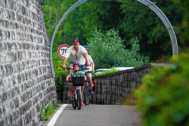 Familien mit Kindern haben es schwer auf dem Bodenseeradweg. Die Jüngsten lernen noch, ihr Zweirad unter Kontrolle zu halten. Für sie ...