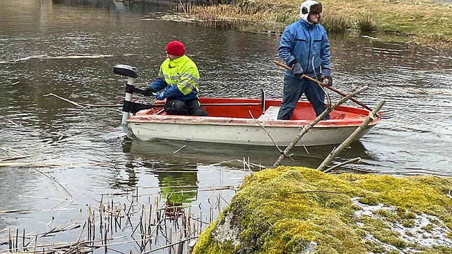 Landjugend-Mitglieder entfernen am 15. März Schilf sowie Nährstoffträger aus dem Hierholzer Weiher. Foto: Karin Steinebrunner