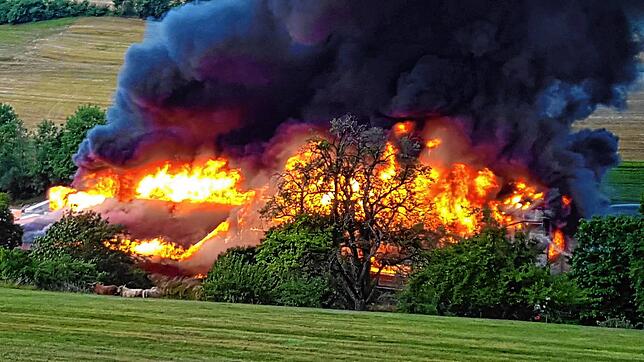 In einer Produktionshalle eines holzverarbeitenden Betriebes in Stühlingen-Mauchen ist am 20. Juni ein Brand ausgebrochen. Das Bild hat ...