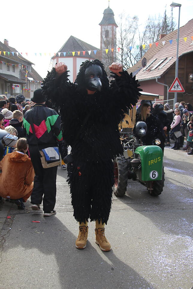 Bild 13: Bilder zum Narrentreffen in Schwerzen (1)