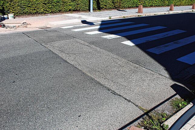 Besonders an Nahtstellen wie dieser ist der Verkehrslärm erheblich, erzählt Roseltraud Dannert.