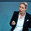 Alice Weidel, Fraktionsvorsitzende der AfD, hat eine von der Stadt Überlingen zugestellte Unterlassungserklärung unterschrieben.