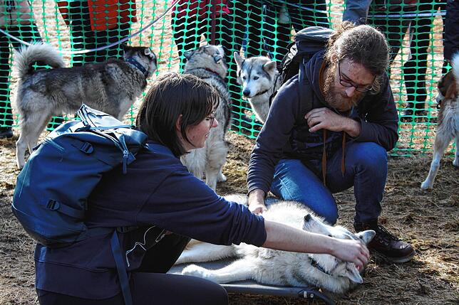 Kuscheln mit den Schlittenhunden war ausdrücklich erlaubt im Waldhaus Husky-Camp in Schwarzenbach.