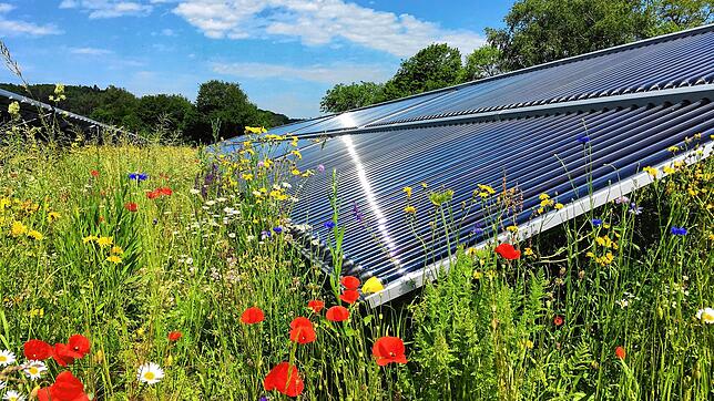 Solche Solarthermie-Kollektoren würden auch in Thalheim eingesetzt werden. Das Bild zeigt eine Anlage in Randegg im Kreis Konstanz.