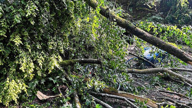Bei dem Unwetter am vergangenen Sonntag stürzte ein Baum im Waldgebiet oberhalb des Bözberg auf ein Fahrrad. Bei dem Unwetter wurde nach ...
