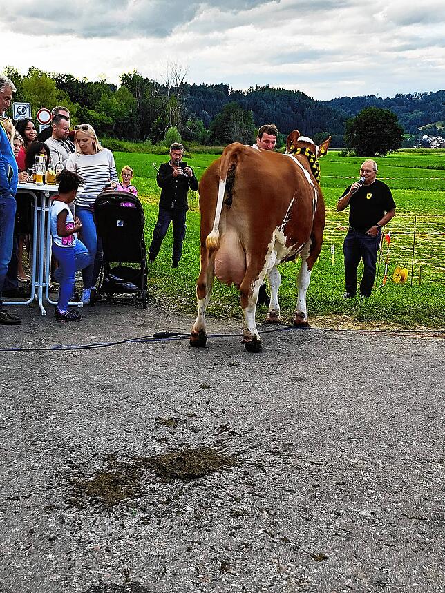 Bild 19: Die besten Bilder von der 22. Kuhschisslotterie in Seelfingen