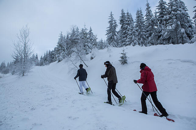 Schneeschuhwandern ist auf dem Feldberg und in einigen anderen Gemeinden im Landkreis Waldshut möglich.